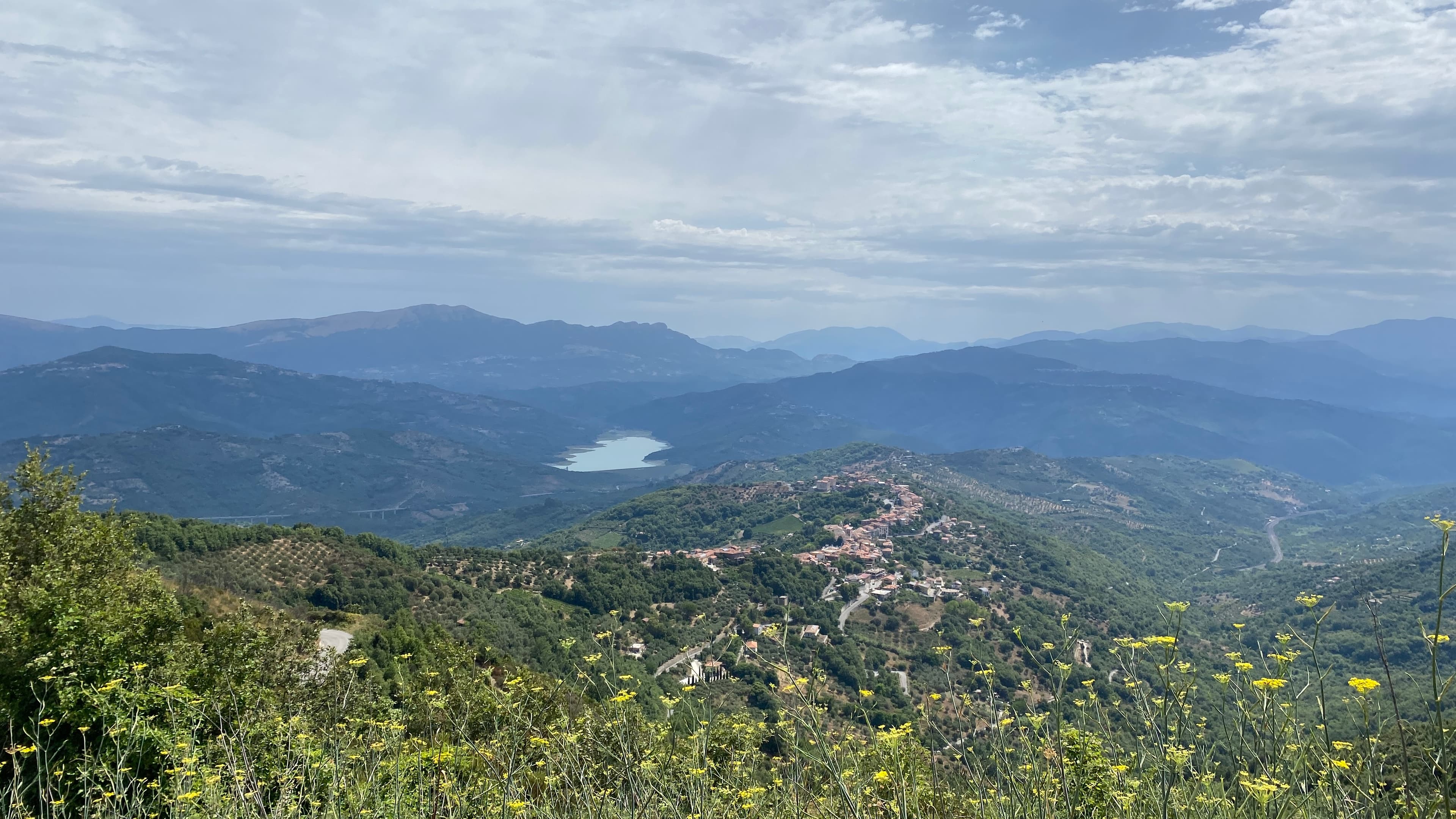 Image b86303a9-aab1-421f-9e45-a7f4ce83359f